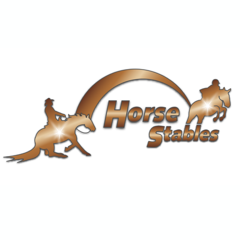 western and english horse training logo design