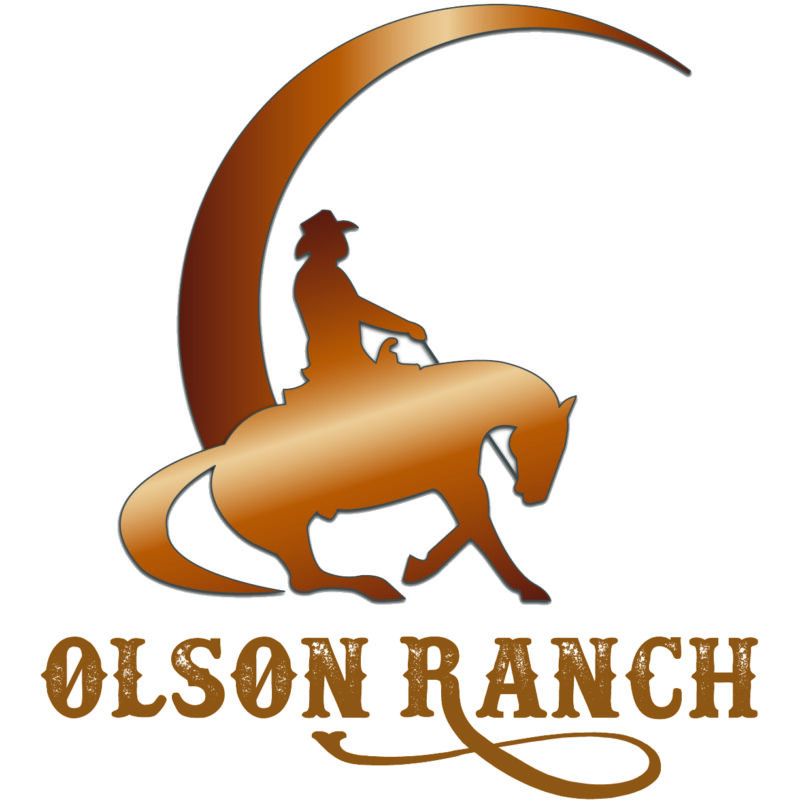 Sample logo design for reigning horse trainer or ranch